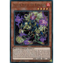 Avatar Roi du Feu Rangbali (UR) [SR14]