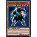 Bearman Capitaine Entraîneur (C) [SR14]