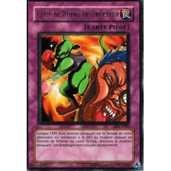 Coup de Poing Destructeur (R)