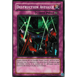 Destruction Aveugle (C) [LDC]
