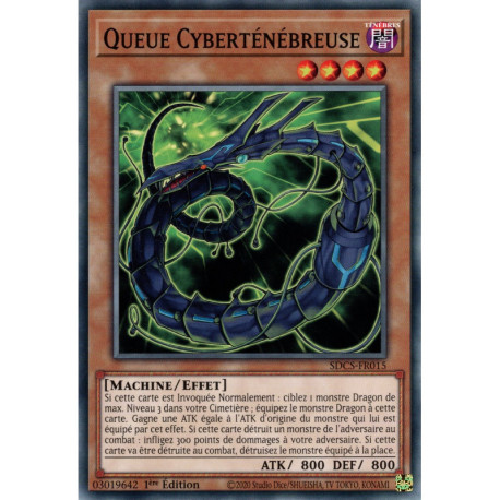 Queue Cyberténébreuse (C) [SDCS]