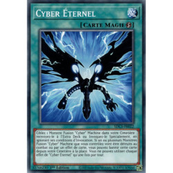 Cyber Éternel (C) [SDCS]