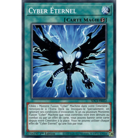 Cyber Éternel (C) [SDCS]