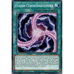 Fusion Cyberchargement (C) [SDCS]