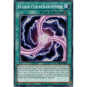 Fusion Cyberchargement (C) [SDCS]