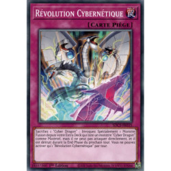 Révolution Cybernétique (C) [SDCS]