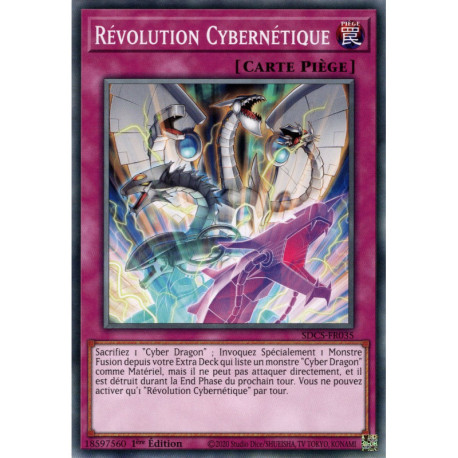 Révolution Cybernétique (C) [SDCS]
