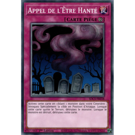 Appel de l'Être Hanté (C) [SDCS]