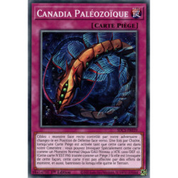 Canadia Paléozoïque (C) [SDCS]