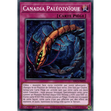Canadia Paléozoïque (C) [SDCS]