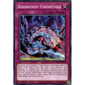 Débordement Cybernétique (C) [SDCS]