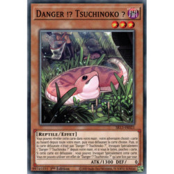 Danger !? Tsuchinoko ? (C) [SR13]