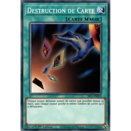 Destruction de Carte (C) [SR13]
