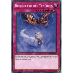Brouillard des Ténèbres (C) [SR13]
