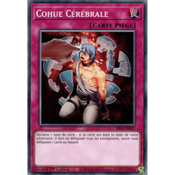 Cohue Cérébrale (C) [SR13]
