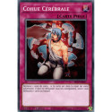 Cohue Cérébrale (C) [SR13]