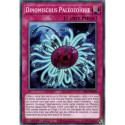 Dinomischus Paléozoïque (C) [SR13]