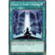 Portail du Monde Ténébreux (C) [SR13]