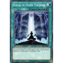 Portail du Monde Ténébreux (C) [SR13]