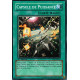 Capsule de Puissance (C)