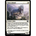 (Foil) Blanche - Tatou cuirassé (C) [OTJ]