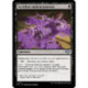 (Foil) Noire - Accident malencontreux (U) [OTJ]