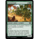 (Foil) Verte - Cactarentule (C) [OTJ]