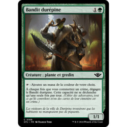(Foil) Verte - Bandit durépine (C) [OTJ]
