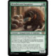 (Foil) Verte - Brindhésson hargneux (R) [OTJ]