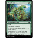 (Foil) Verte - Viser le ciel (C) [OTJ]