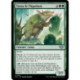 (Foil) Verte - Tatou de Piquebois (U) [OTJ]