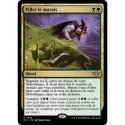 (Foil) Multicolore - Piller le marais (R) [OTJ]