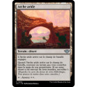 (Foil) Terrain - Arche aride (U) [OTJ]