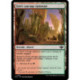 (Foil) Terrain - Forêt sauvage épineuse (L) [OTJ]