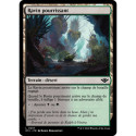(Foil) Terrain - Ravin pourrissant (L) [OTJ]