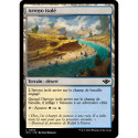 (Foil) Terrain - Arroyo isolé (L) [OTJ]