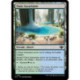 (Foil) Terrain - Oasis luxuriante (L) [OTJ]