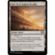 (Foil) Terrain - Orée de la tempête de sable (U) [OTJ]