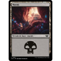 (Foil) Terrain - Marais (V2) (L) [OTJ]