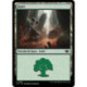 (Foil) Terrain - Forêt (V2) (L) [OTJ]