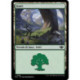 (Foil) Terrain - Forêt (V3) (L) [OTJ]
