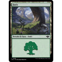 (Foil) Terrain - Forêt (V3) (L) [OTJ]
