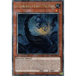 Ragnaraika la Graine Maléfique (QCSE) [LEDE]