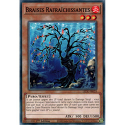 Braises Rafraîchissantes (C) [LEDE]