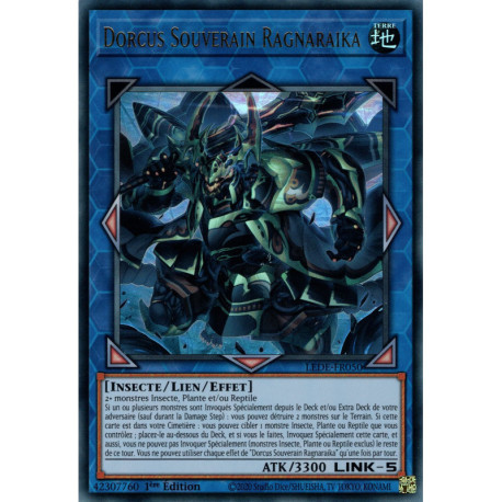 Dorcus Souverain Ragnaraika (UR) [LEDE]