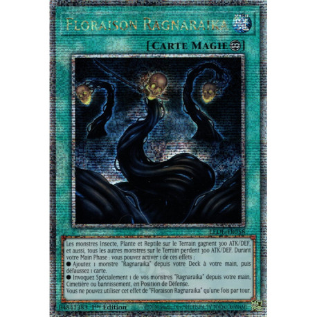 Floraison Ragnaraika (QCSE) [LEDE]