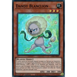 Dandy Blanclion (SR) [LEDE]
