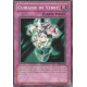 Cuirasse de Verre (C)