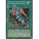 Limiter Removal (SR)