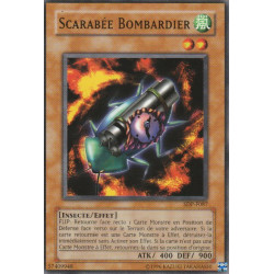 Scarabée Bombardier (C)